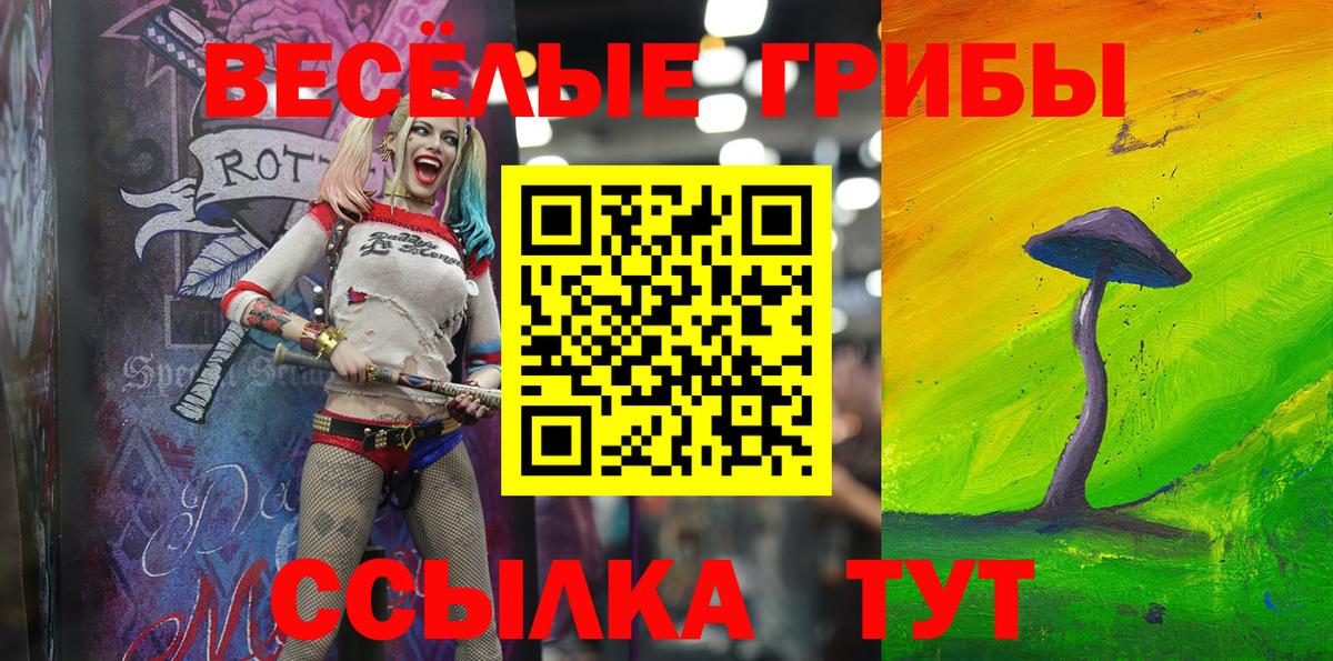 Псилоцибиновые грибы MAGIC MUSHROOMS  Псилоцибиновые грибы Cubensis  Курск  Вход с VPN 