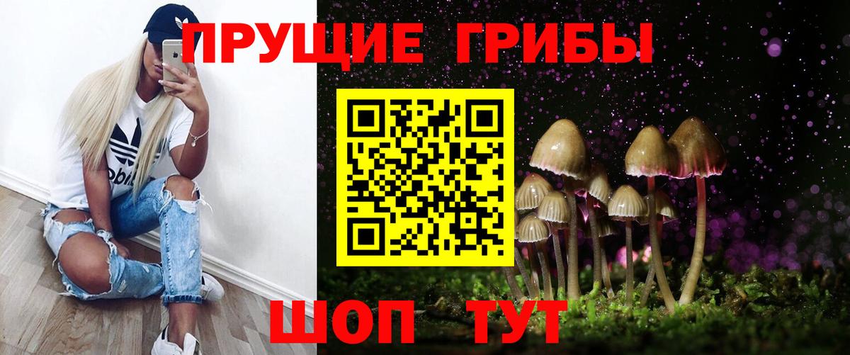 Галлюциногенные грибы мицелий Курск